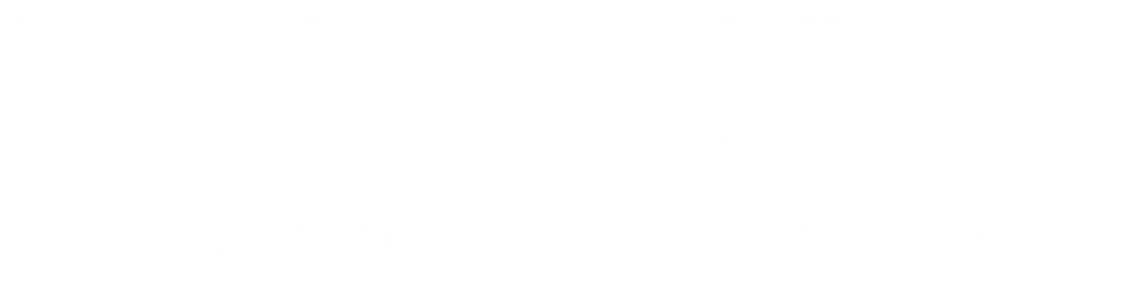 Logo Final Wellness 01